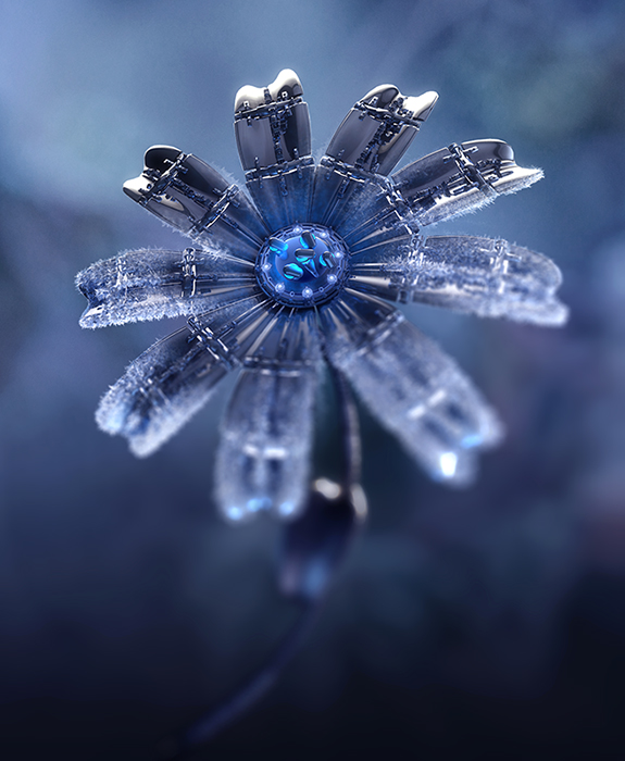 frost flower book cover rough